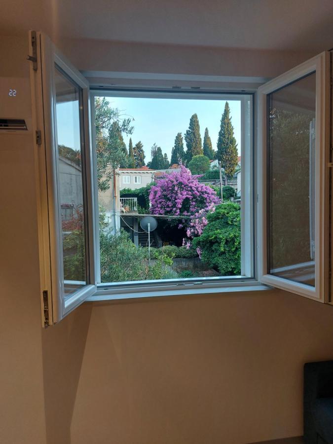 Apartment Romana